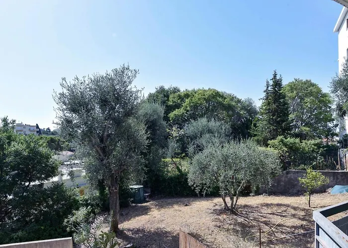 Cimiez Les Pins By Interhome * Nice