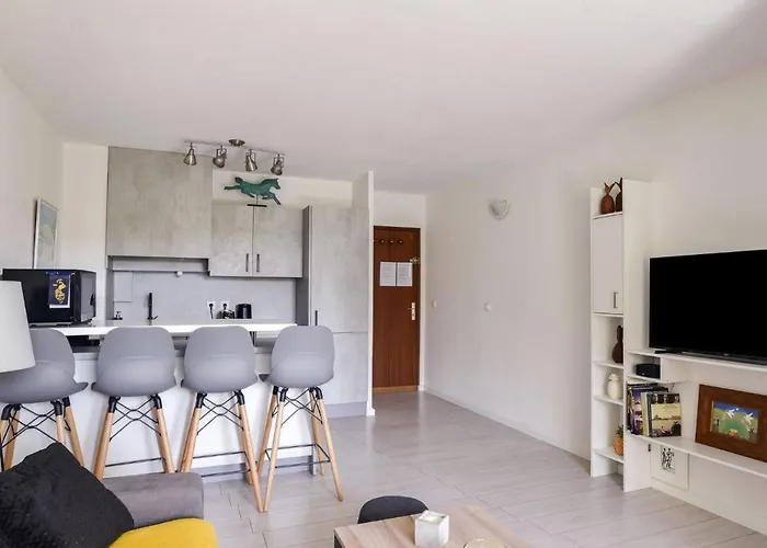 Cimiez Les Pins By Interhome * Nice